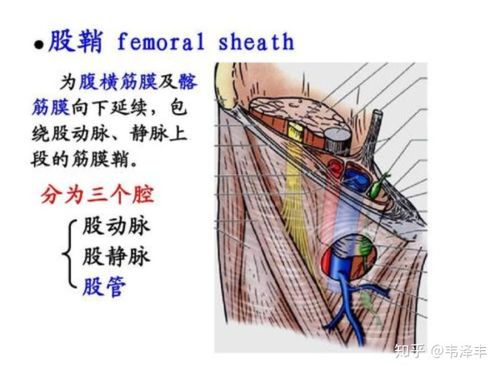 股票存管银行干啥的