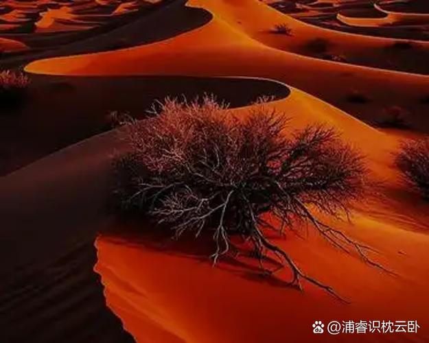 晨昏之沙攻略