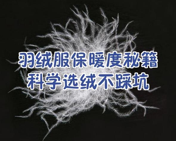 旧羽绒服取绒妙招