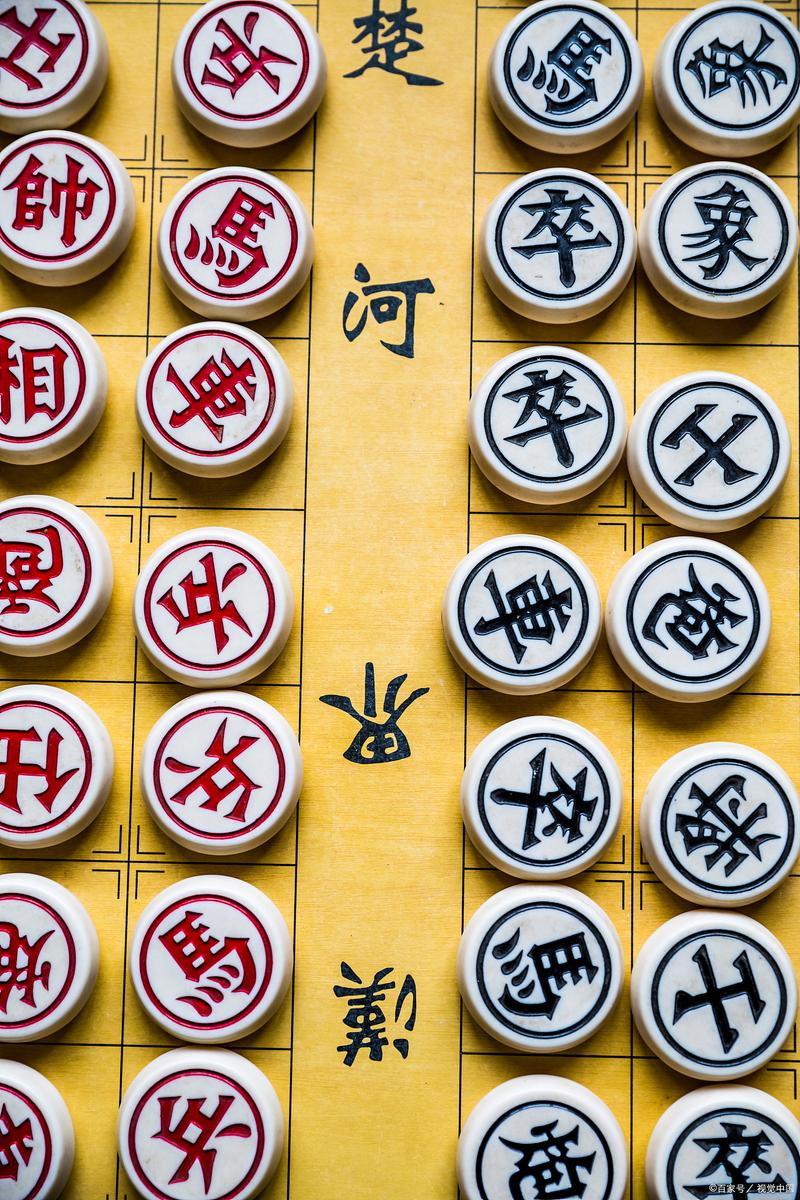 多乐多中国象棋图标