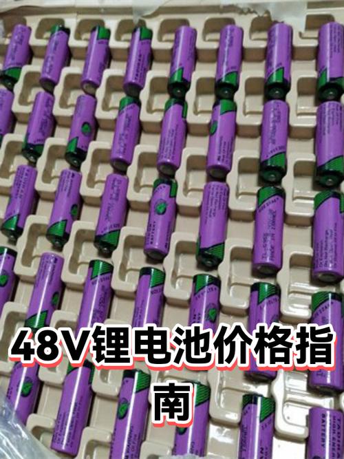 48伏锂电池价格表