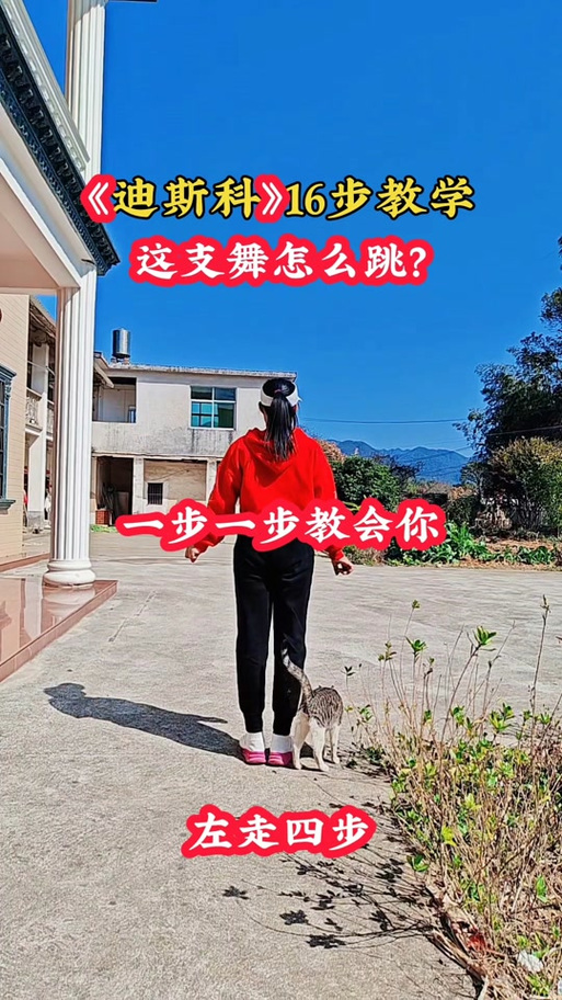 广场舞曲100首连播放