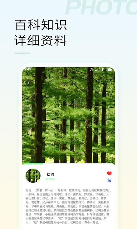 手机自动拍照怎么设置
