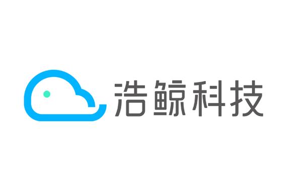 浩鲸科技是外包吗
