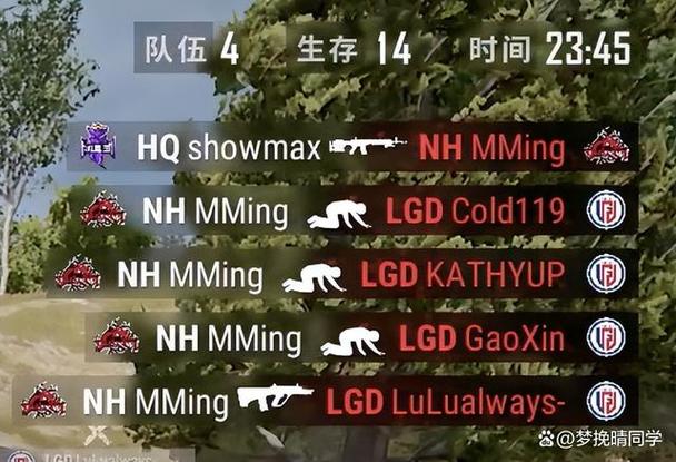 nh战队mming个人资料