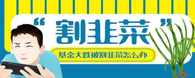 韭菜网络用语暗示什么截图