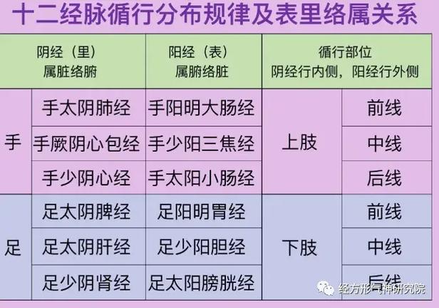 经与络的区别与联系