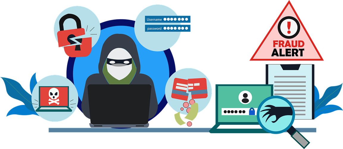 cyber fraud
