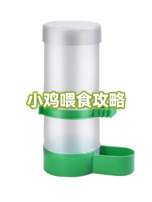 如何给小鸡喂食截图