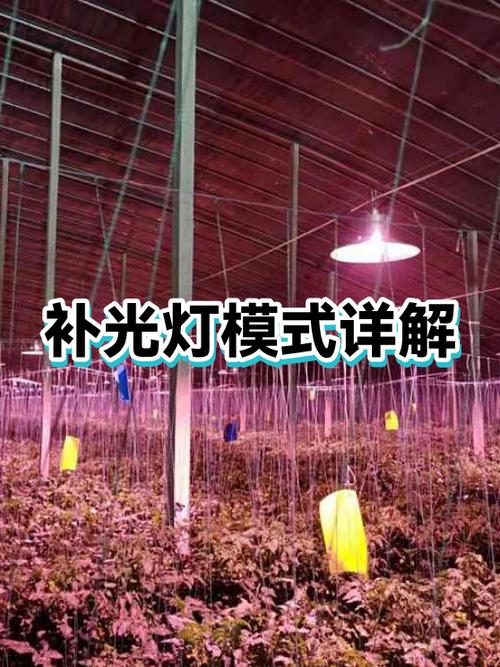 全彩摄像头补光灯能关么截图