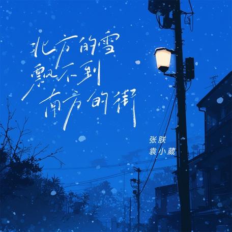 歌曲《北方的雪飘不到南方》唱了什图标