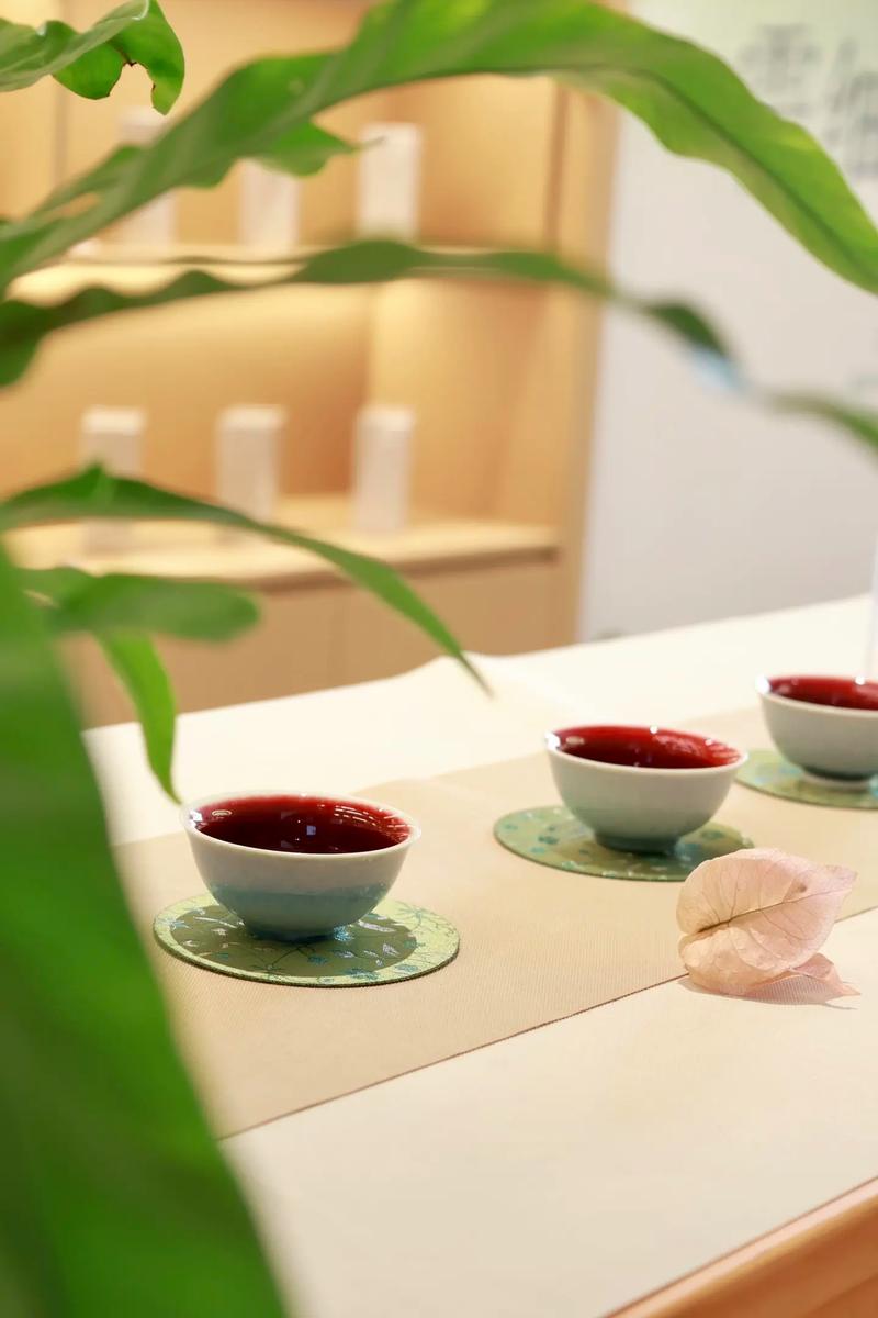 临时停驻by茶引