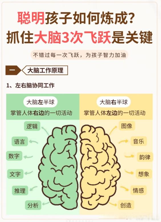 如何锻炼大脑思维能力