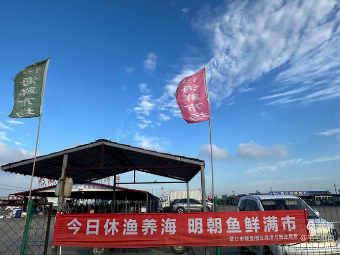 营口什么鱼圈