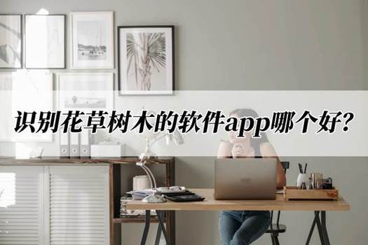 扫描花草树木识别软件叫什么