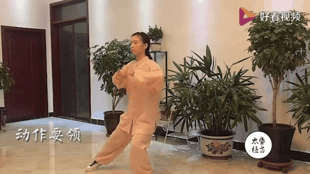 太极八段锦分解教学视频