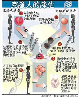 为什么要禁止克隆人类