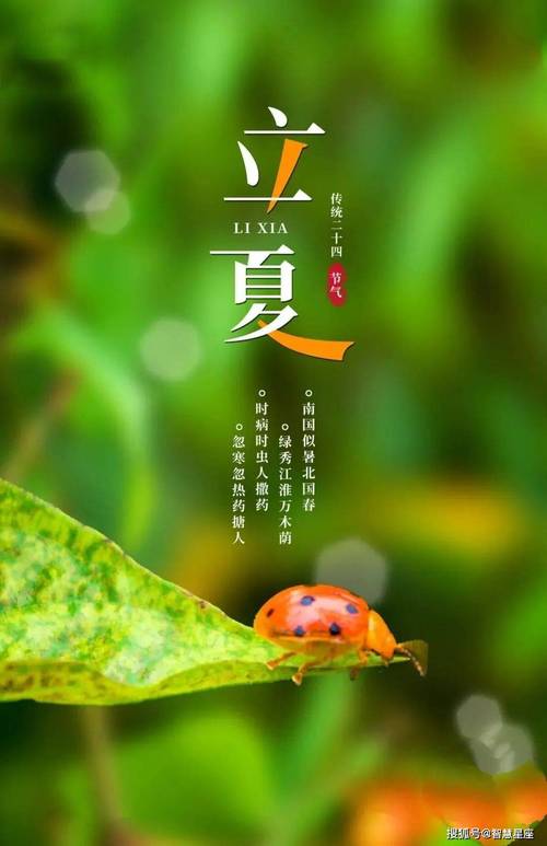 立夏的第一天,遇见