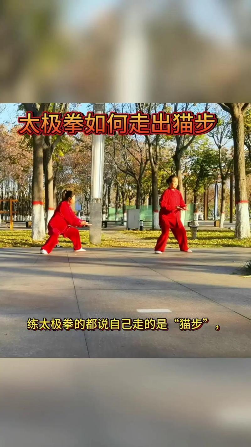 猫步运动能提现吗