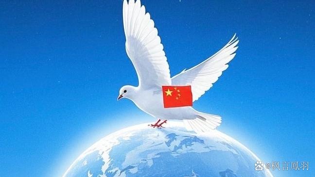 代表和平的动物
