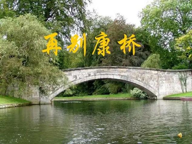 董卿诵读《再别康桥》