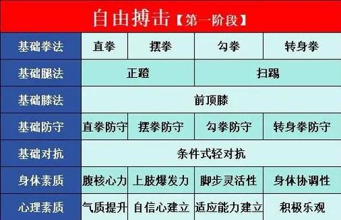自由搏击教学视频新手入门