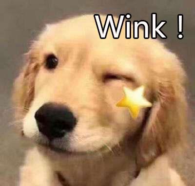 wink表情包