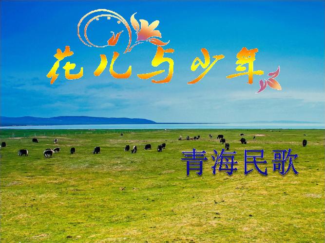 花儿与少年音乐欣赏截图