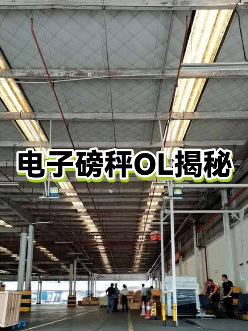 电子秤OL如何恢复