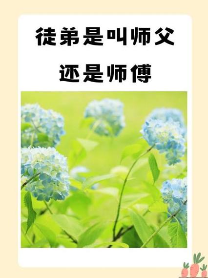 师父一次收了两个徒弟怎么办截图