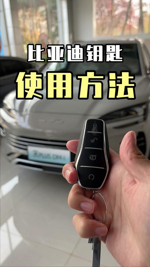 宋pro车钥匙图标