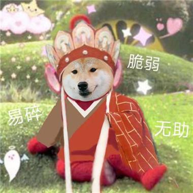 qq群聊名称可爱