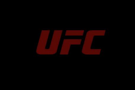 ufc终极格斗冠军赛安卓