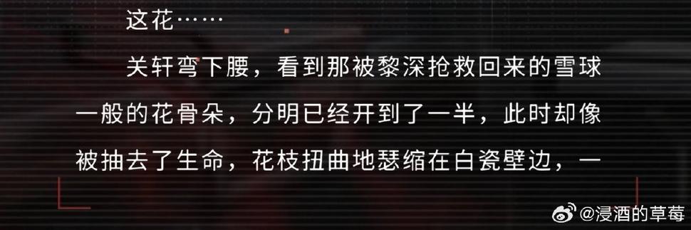 死神主线剧集目录