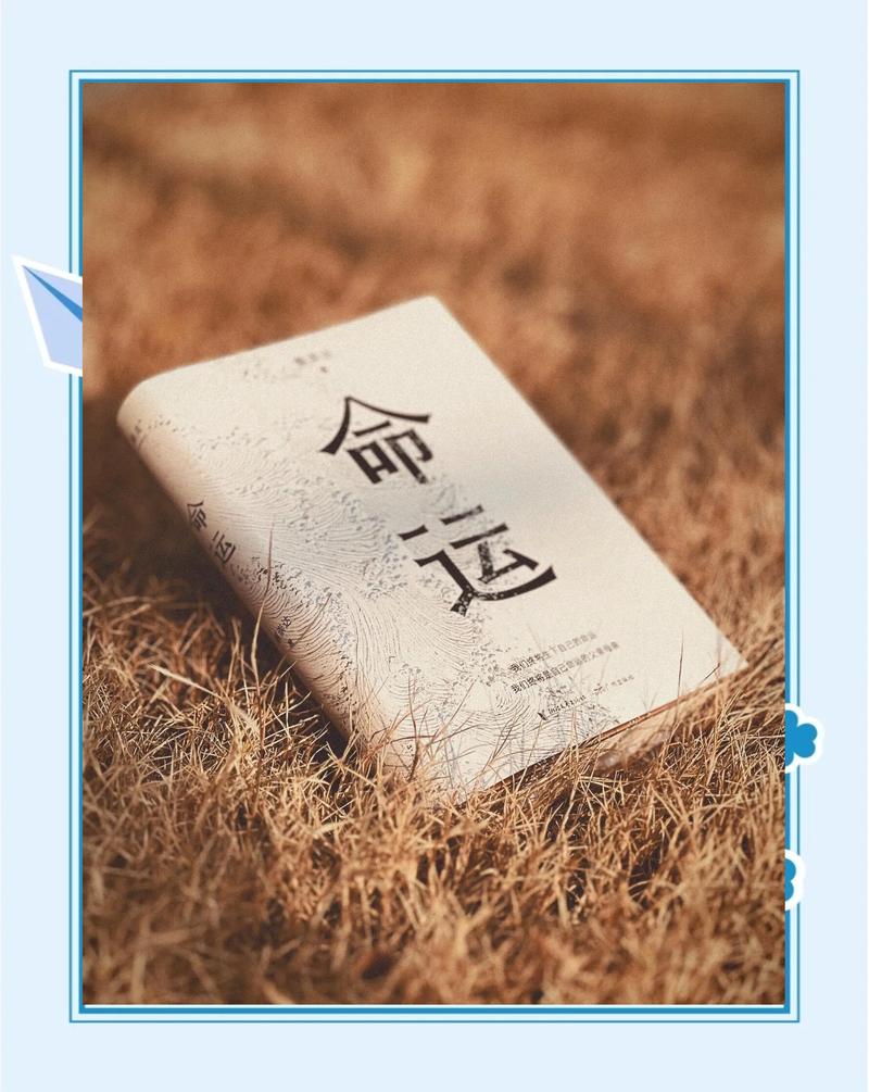 命运高达vs强袭自由