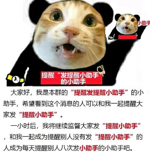 微信设置专人消息提醒