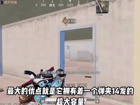 和平精英伤害排行