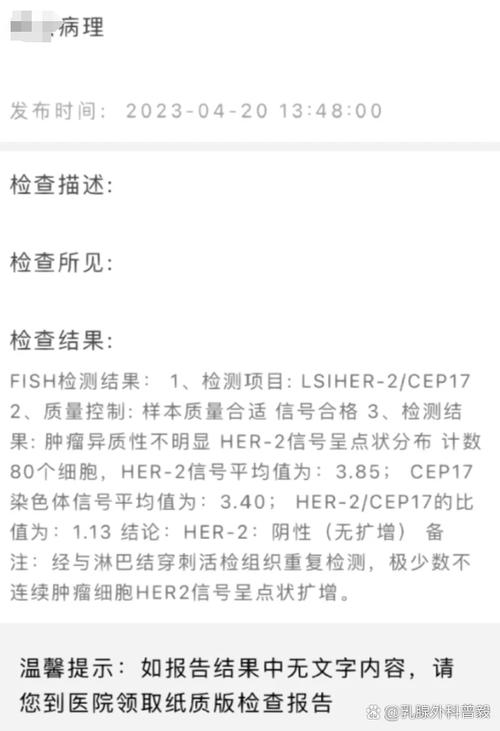 乳腺癌fish检测含义
