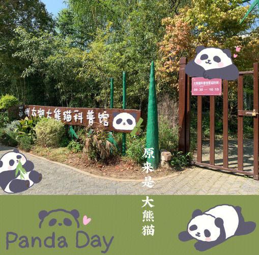 大熊猫的科普知识图标