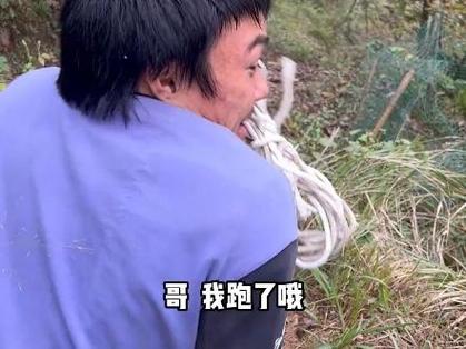 谢宗涛放羊娃视频