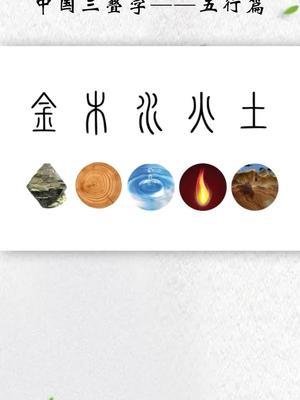 金木水火土风雨雷电十二元素