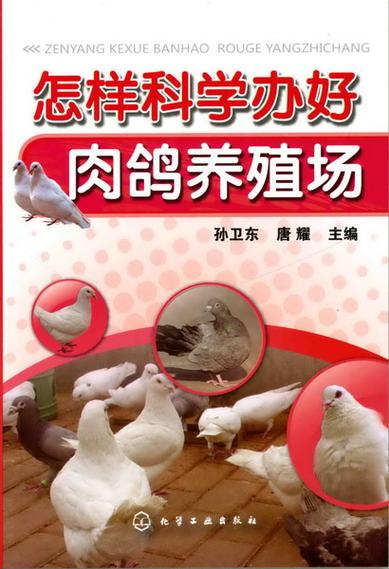 肉鸽养殖成本与利润缩略图