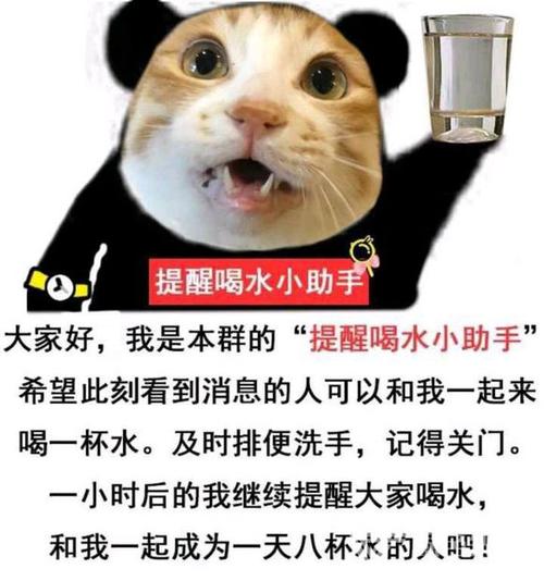 最火的提醒喝水的app
