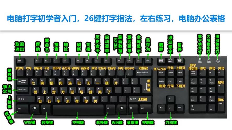 电脑零基础入门教程免费学