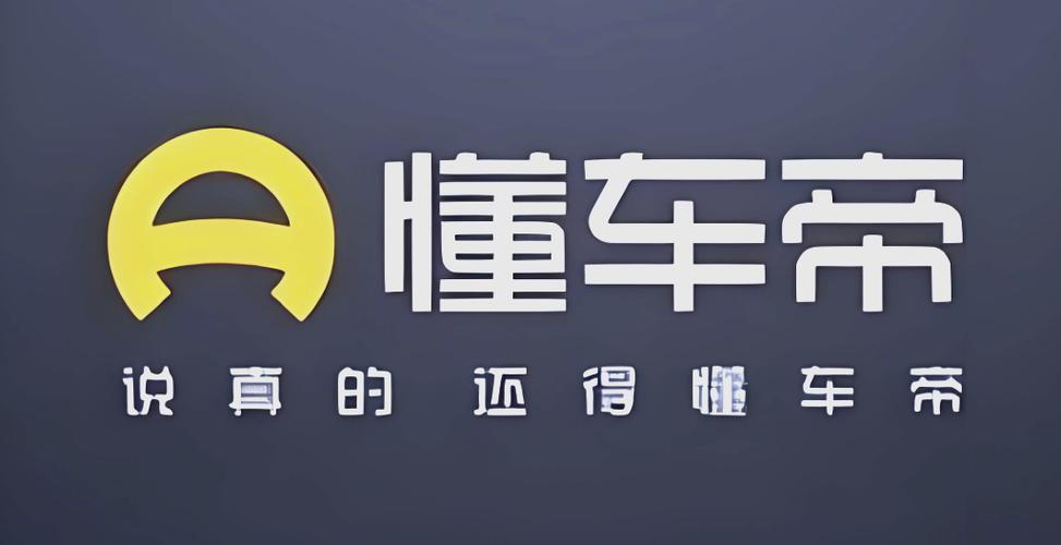 懂车帝官方网首页图标