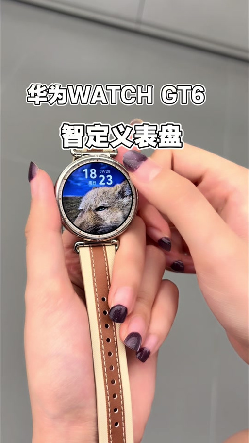 如何更换手表表盘背景图游戏截图