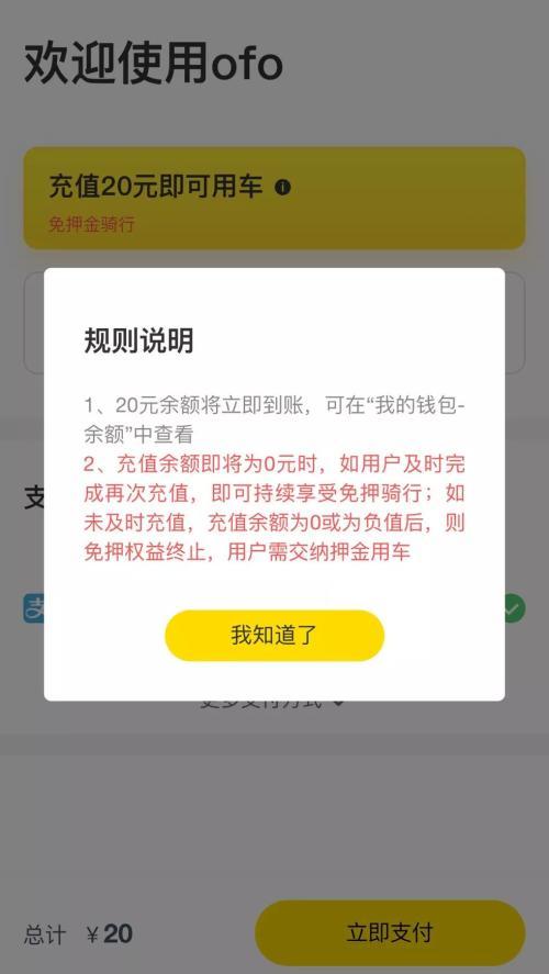 小黄宝充电宝99元押金还能退吗