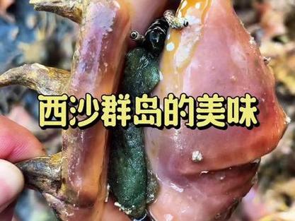 蜘蛛螺多少钱一斤截图