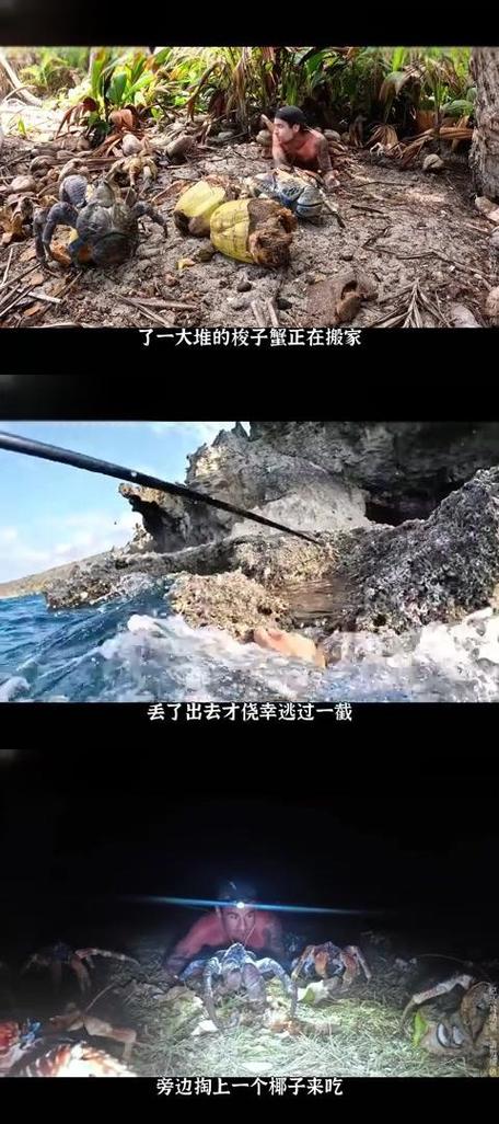 荒岛生存类游戏推荐缩略图