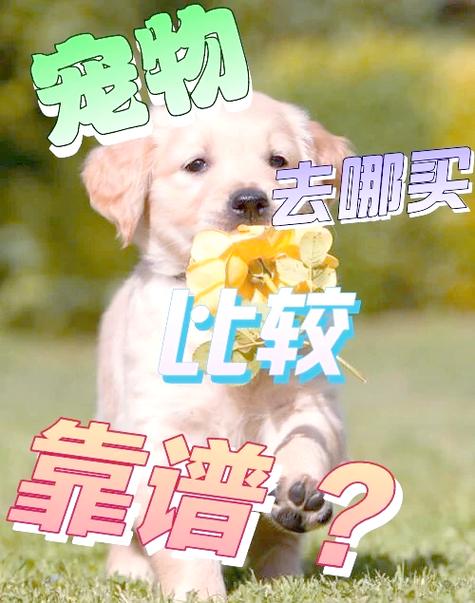 网上买宠物狗靠谱吗